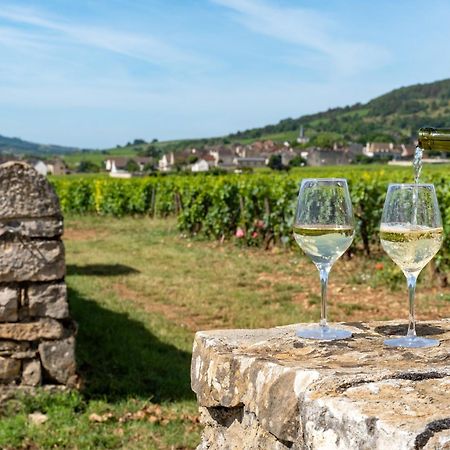 Charmante Maison Climatisee Avec Son Jardin A 10 Minutes De Dijon 마르사네이라꼬떼 외부 사진